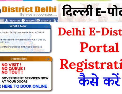 E-District Delhi