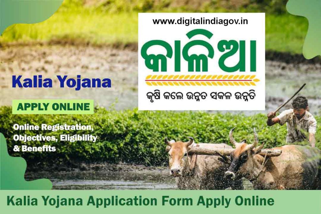 Kalia Yojana Application Form