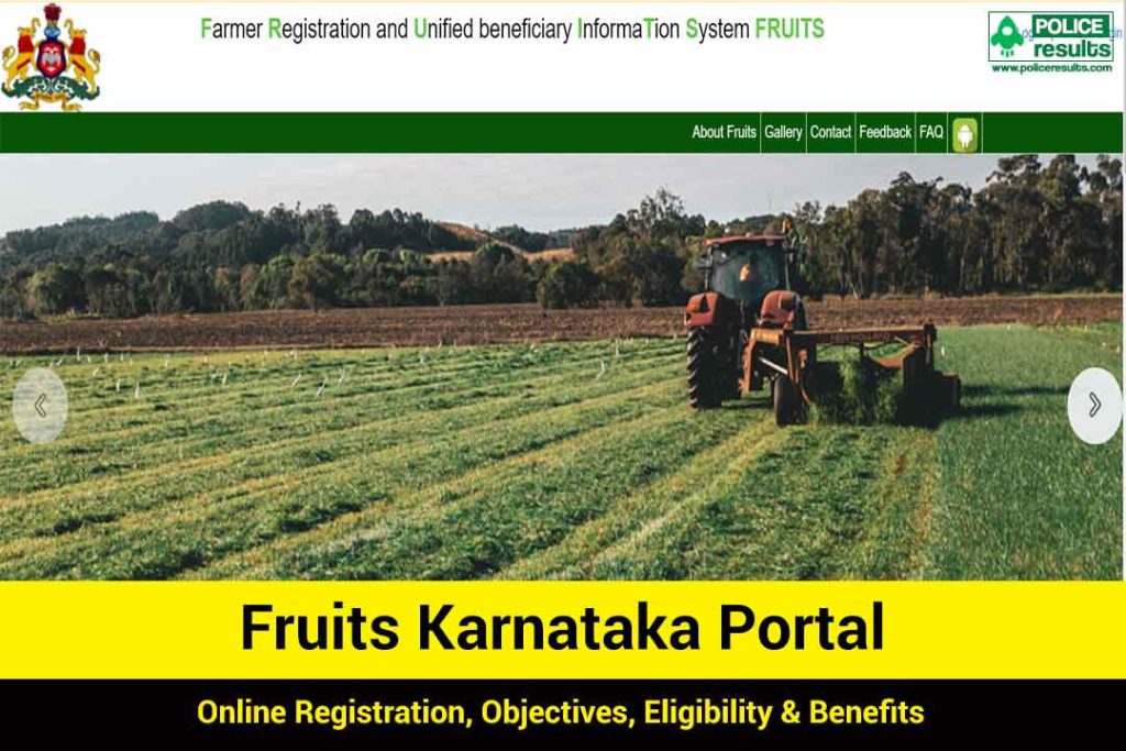 Fruits Karnataka