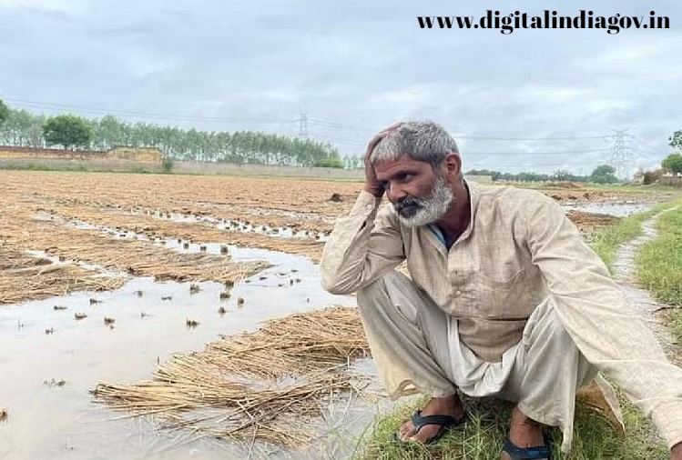 Mukhyamantri Sukha Rahat Yojana