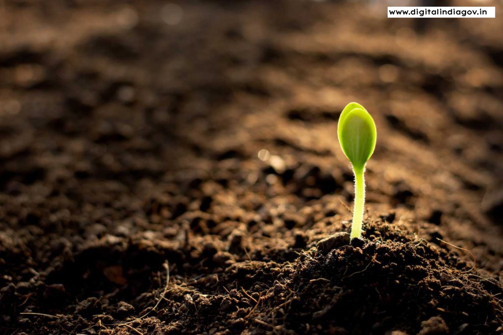 Soil Health Card Scheme