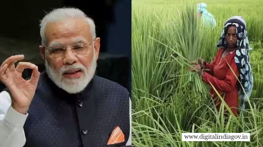 Pm Kisan Samman Nidhi Yojana 11 Kist Check 2024