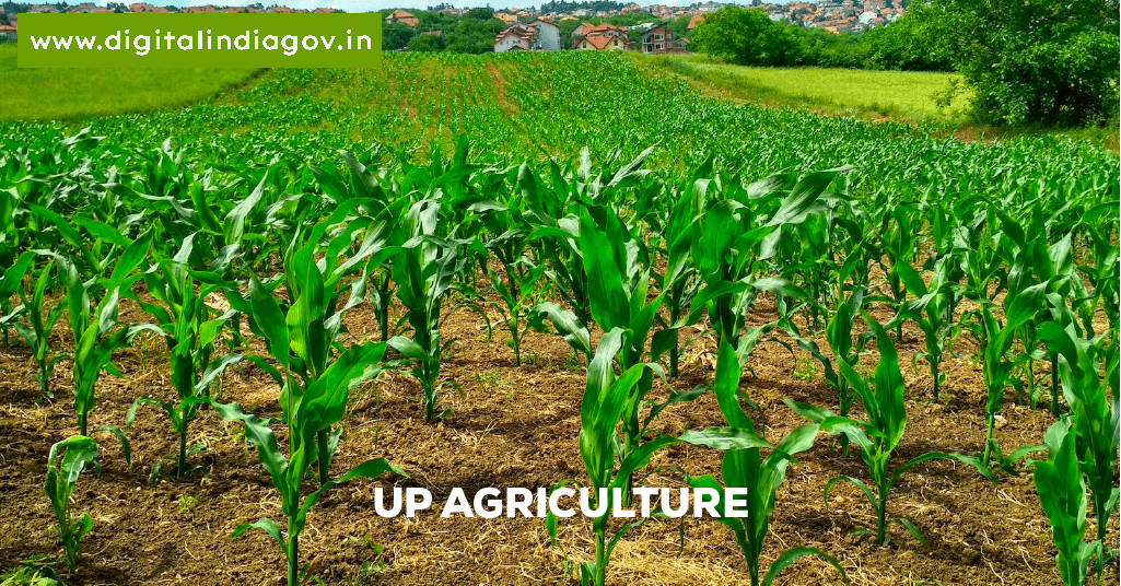 UP Agriculture Token Generate