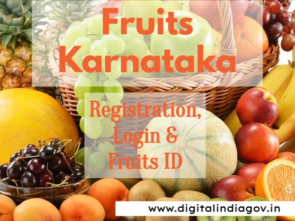 Fruits Karnataka 2024