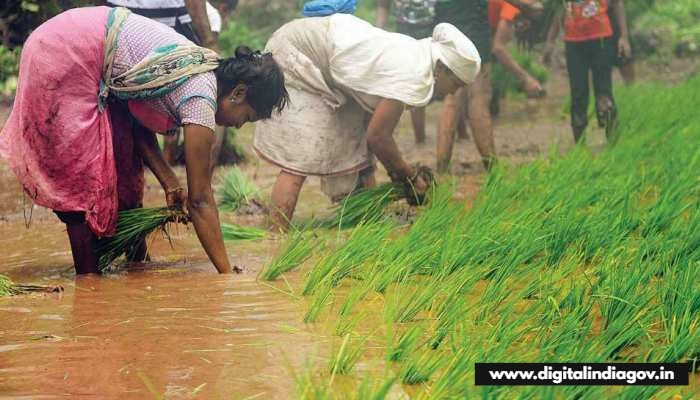 Jharkhand Fasal Yojana