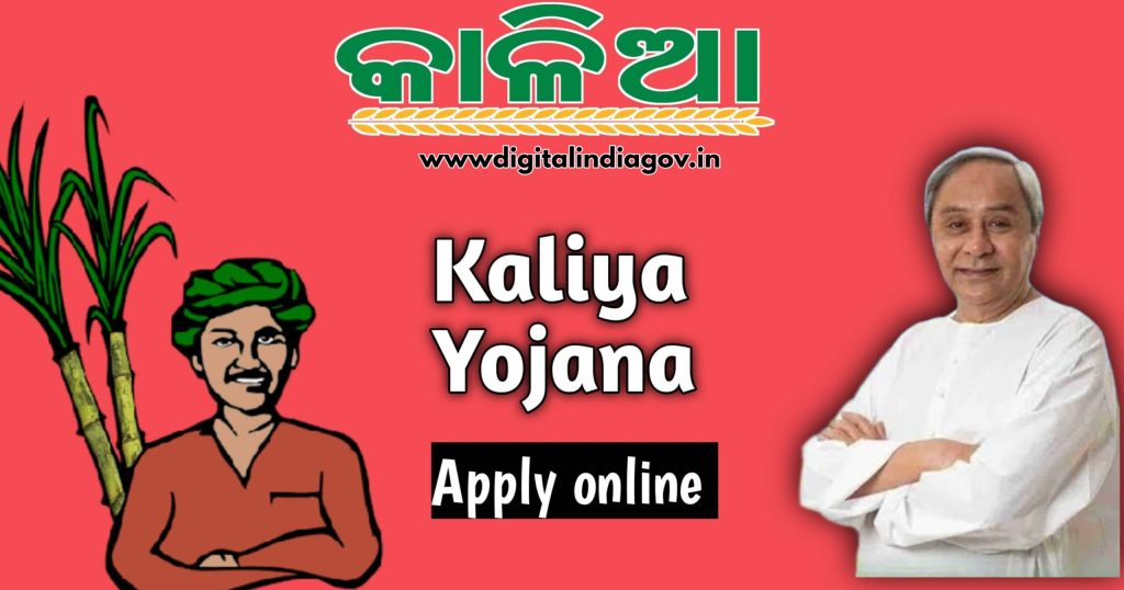Kalia Yojana Online Apply 2024