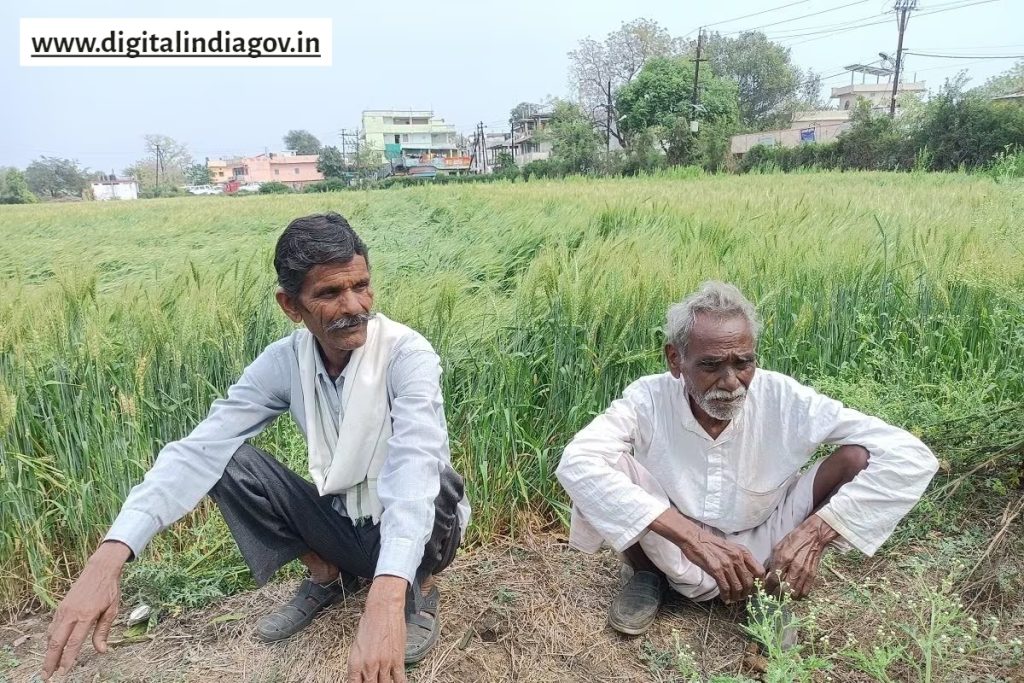 Bihar Rajya Fasal Sahayata Yojana