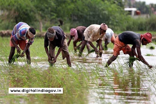 Rajiv Gandhi Gramin Bhumihin Krishi Majdur Nyay Yojana