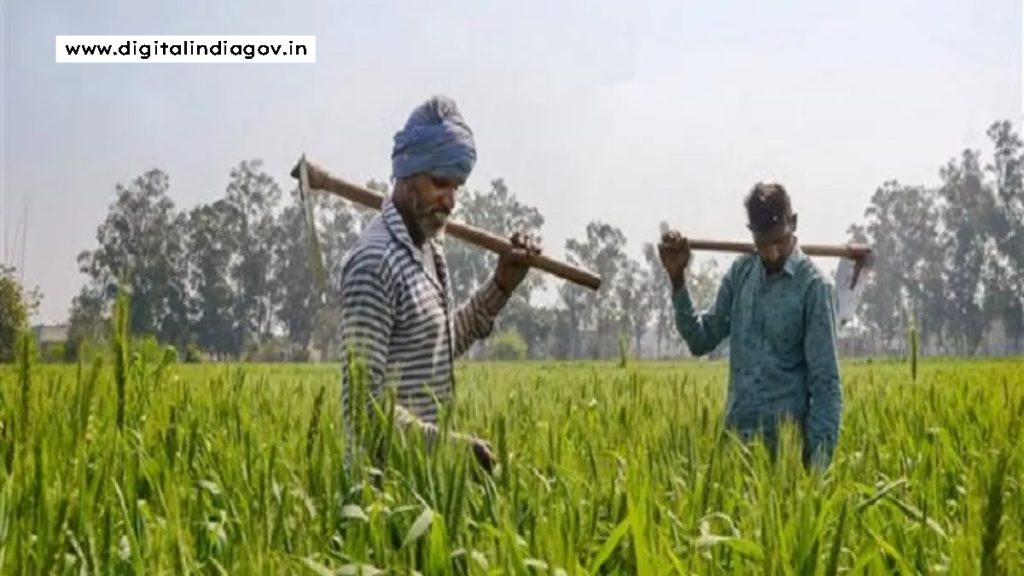 Haryana Meri Fasal Mera Byora