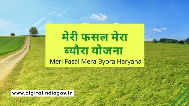 Haryana Meri Fasal Mera Byora