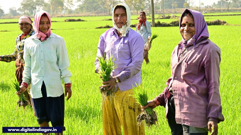 Rajiv Gandhi Kisan Nyay Yojana