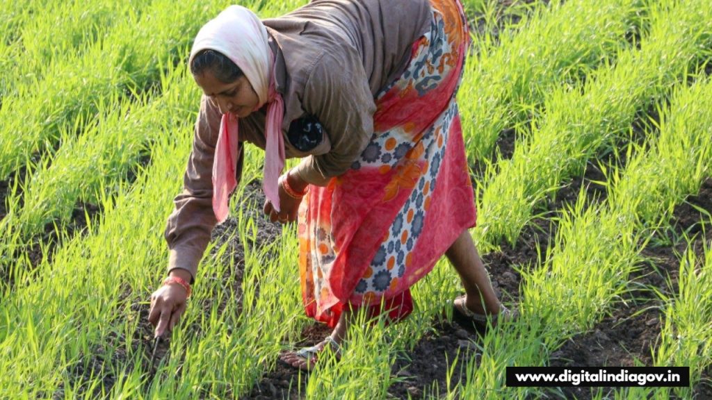 Rajiv Gandhi Kisan Nyay Yojana
