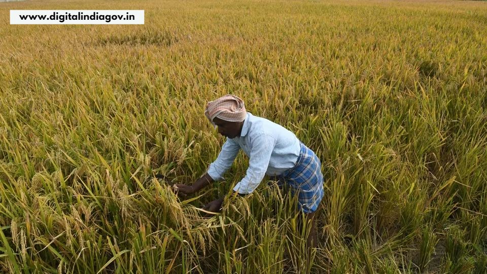 PM Kisan Samman Nidhi Yojana 11 Kist Check