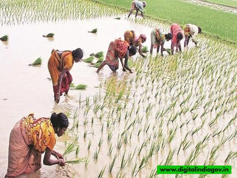Rajiv Gandhi Kisan Nyay Yojana