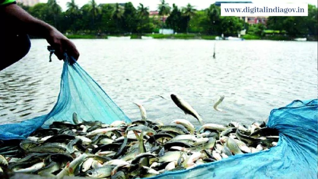 pm matsya sampada yojana

