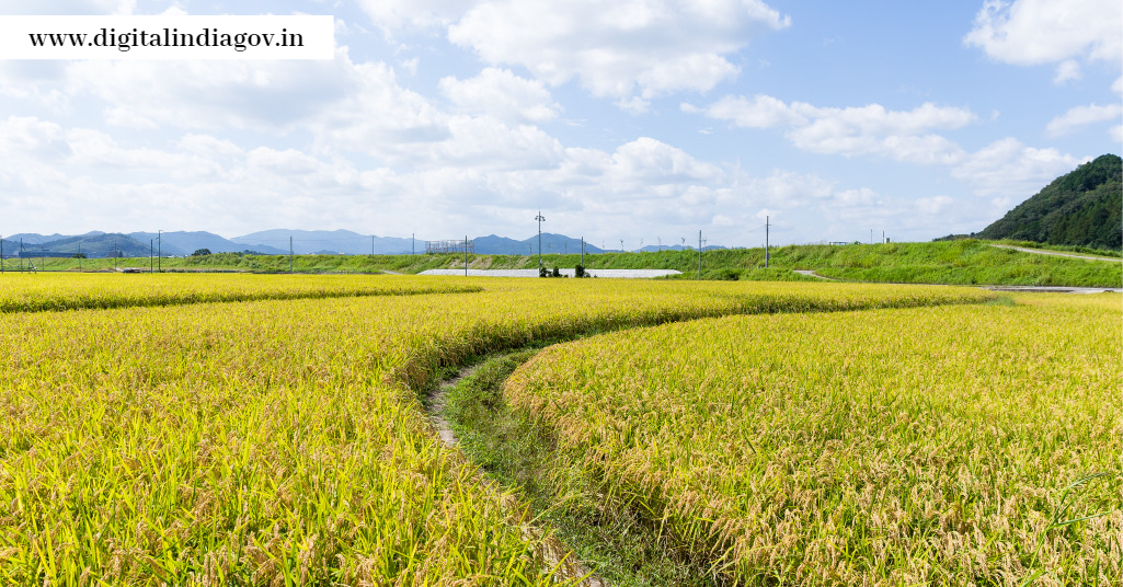 Fasal Bima Yojana Bihar