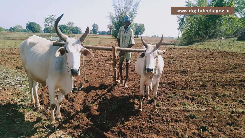 Jharkhand Rajya Fasal Rahat Yojana