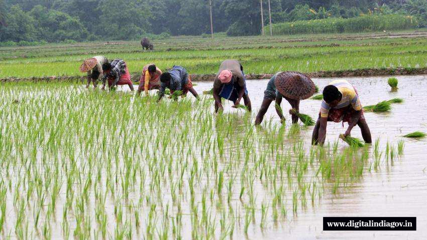 Pradhan Mantri Fasal Bima Yojana