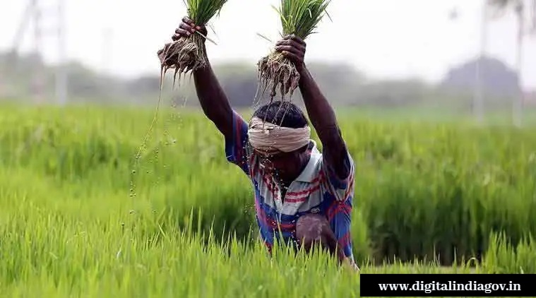 Kalia Yojana Online Apply