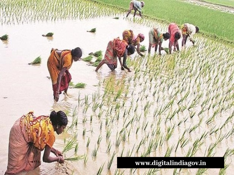 Rajiv Gandhi Kisan Nyay Yojana