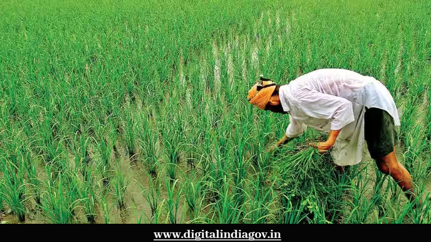 PM Kisan Samman Nidhi Yojana