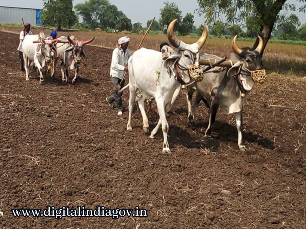 Namo Shetkari Yojanav