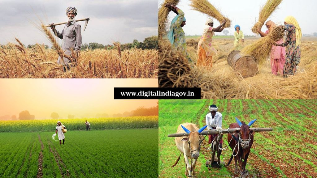Bihar Rajya Fasal Sahayata Yojana