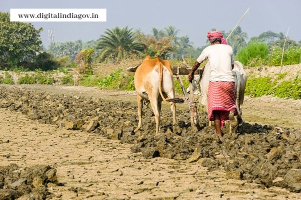UP Kisan Karj Mafi Yojana