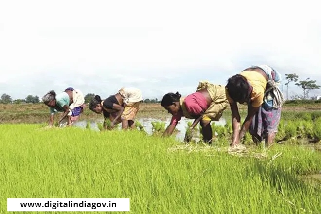 Kisan Nidhi Yojana