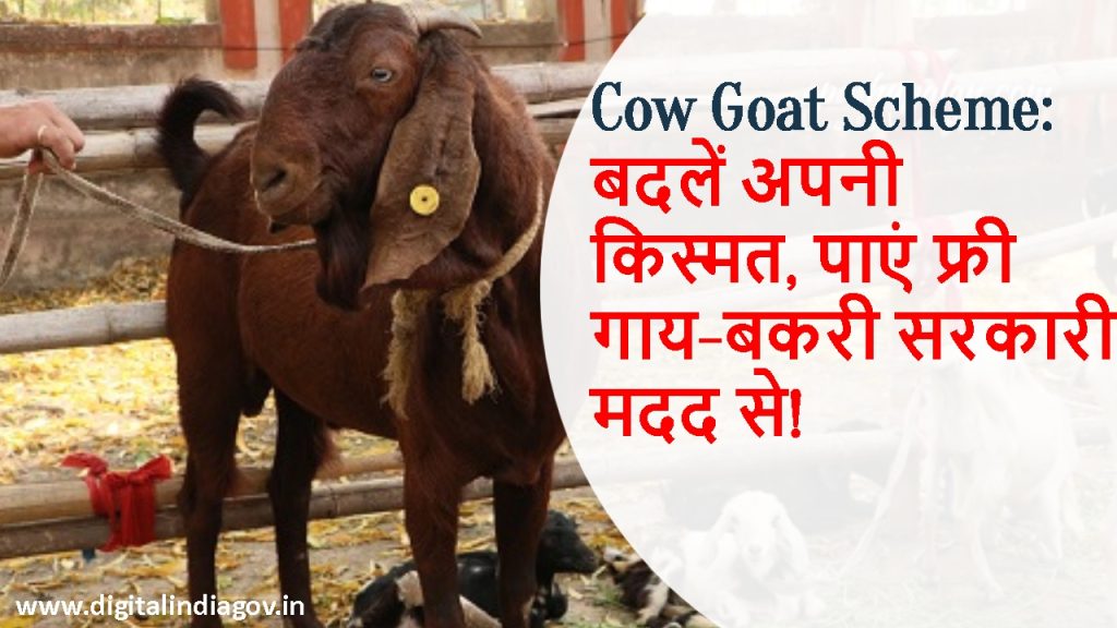 Cow Goat Scheme eligibility