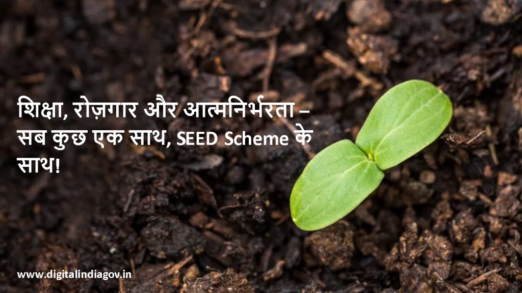 Track Your SEED Scheme Application