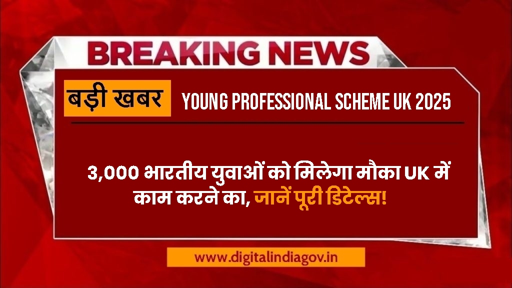 Young Professional Scheme UK